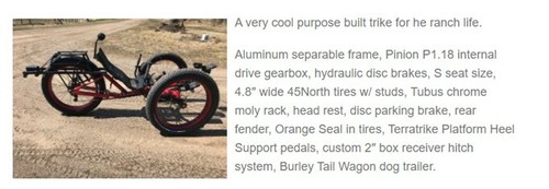 Azub trike pinion 18 - trike,, p1.18